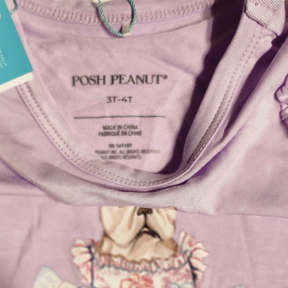 Posh Peanut Posh Frenchie Ruffled Tee and Cha Cha Leggings 3T/4T NWT - Picture 6 of 6